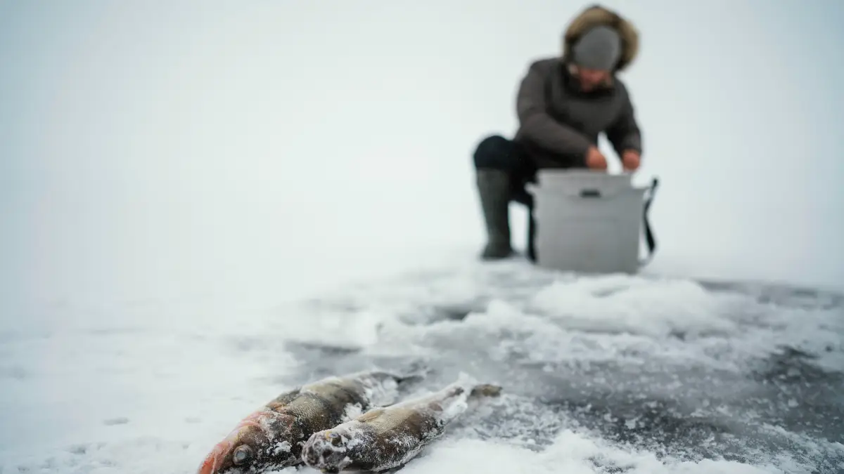 Eating Snow for Water - The Frozen Death Trap