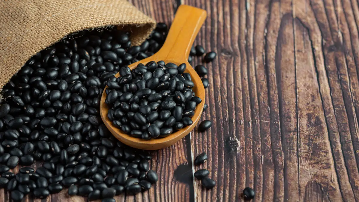 Black Beans
