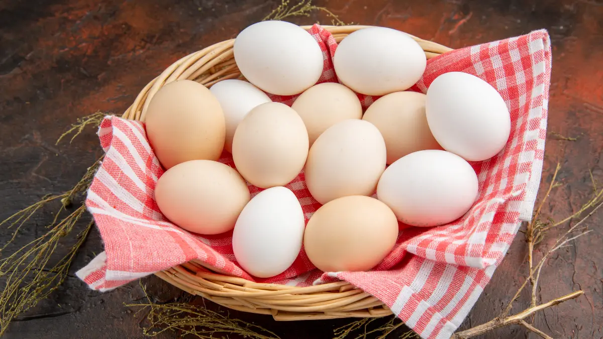 Eggs