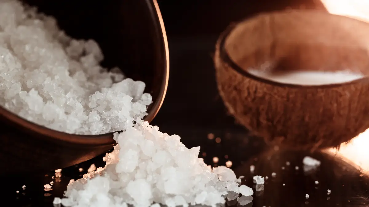 Salt Preservation