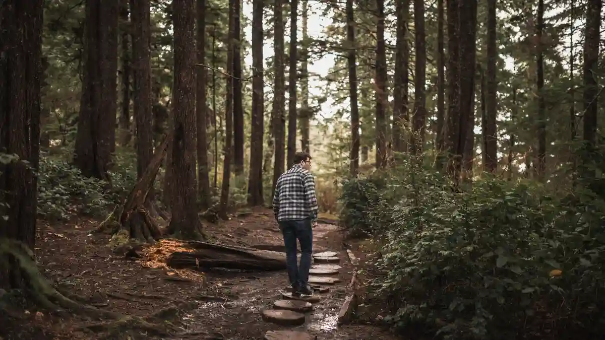 The Anatomy of a $3,000 Walk: Deconstructing the Forest Bathing Scam