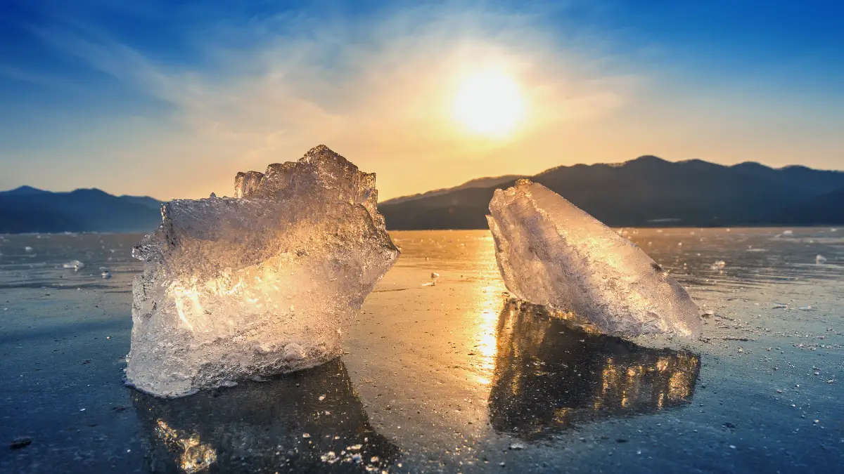 The Nordic Gold Rush - Capitalizing on a Cooler Climate