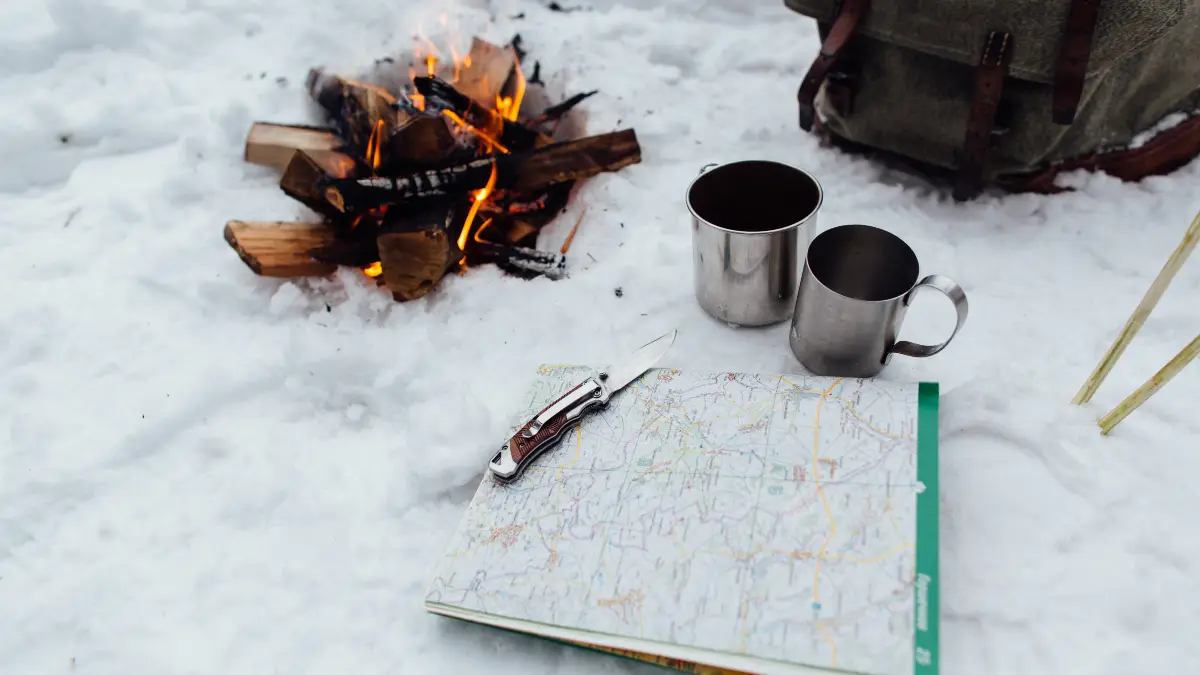 Winter vs. Summer: Seasonal Survival Strategies