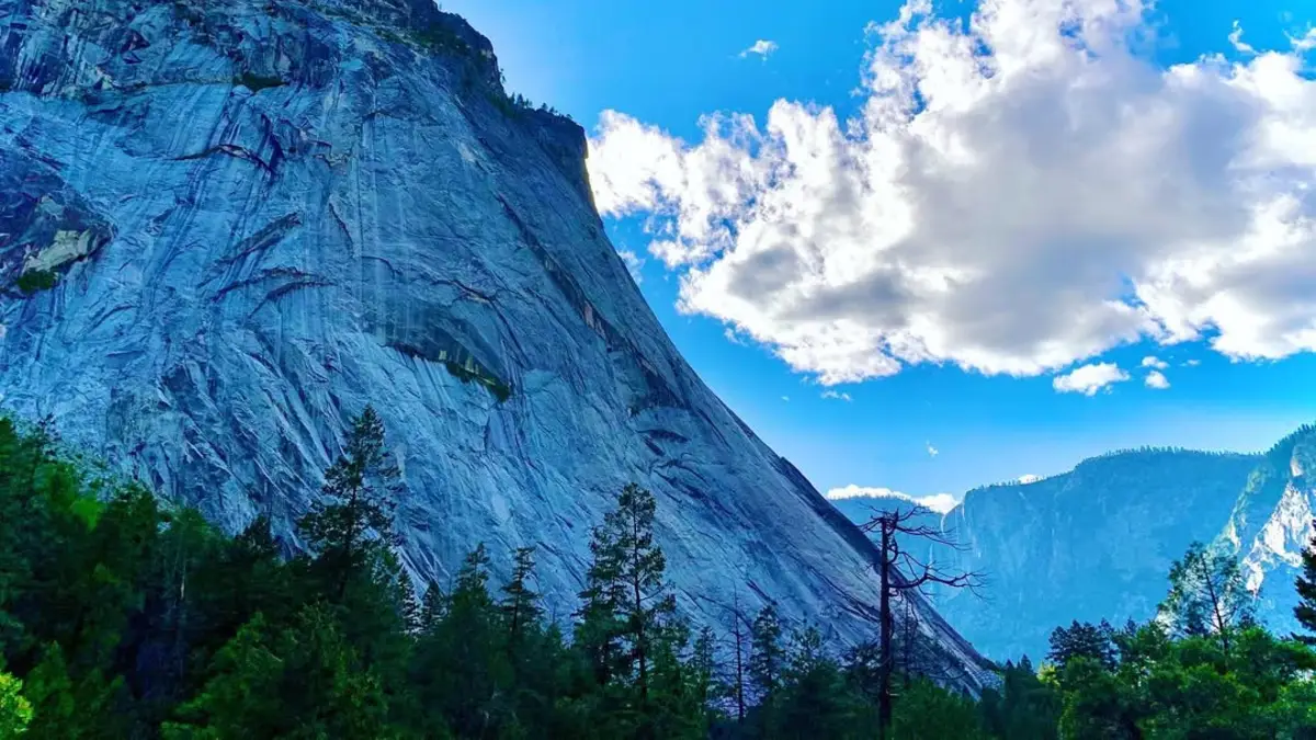 mist trail
