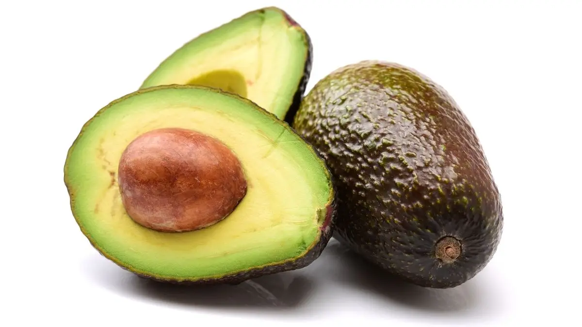 Avocados