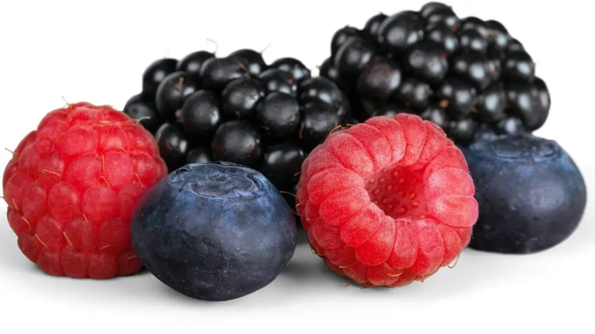 Berries