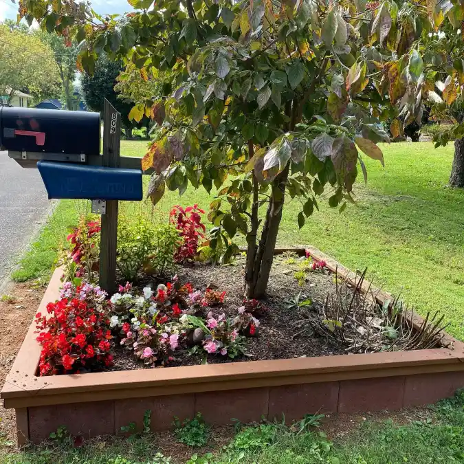 Raised Sentinel Garden