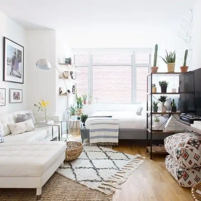 Sunlit Shelf Divider Studio
