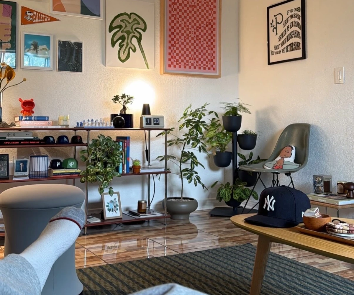Indoor Plants And Metal Shelving