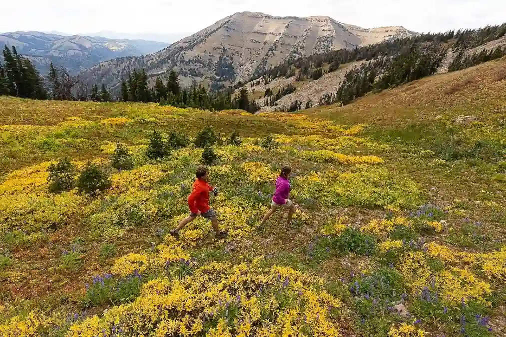 Shadow Mountain at Bridger Teton National Forest
