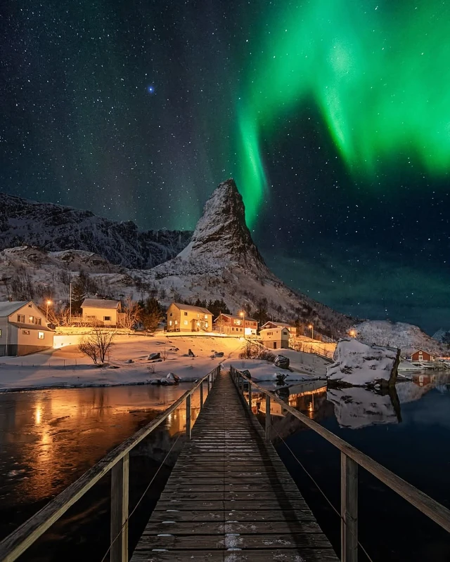 Reine