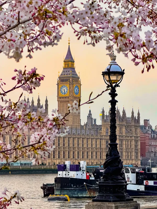 London