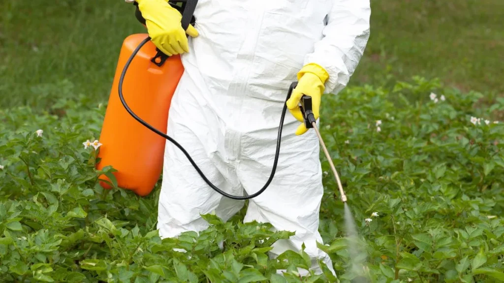 Chemical Weed Killers