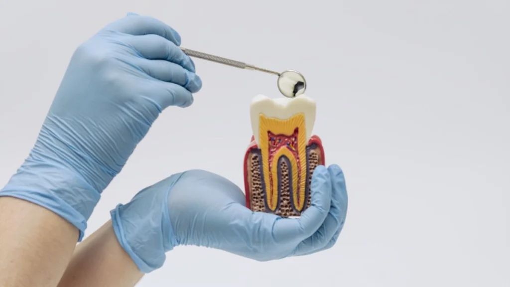 Tooth Enamel Dissolves Rapidly
