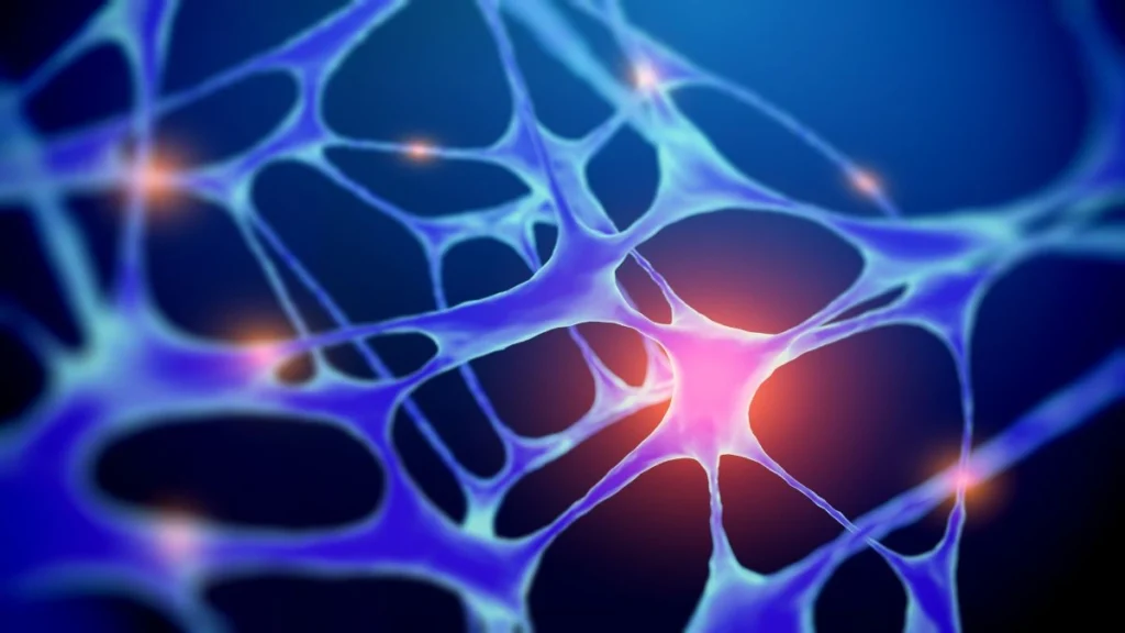 Healthier Memory Neurons