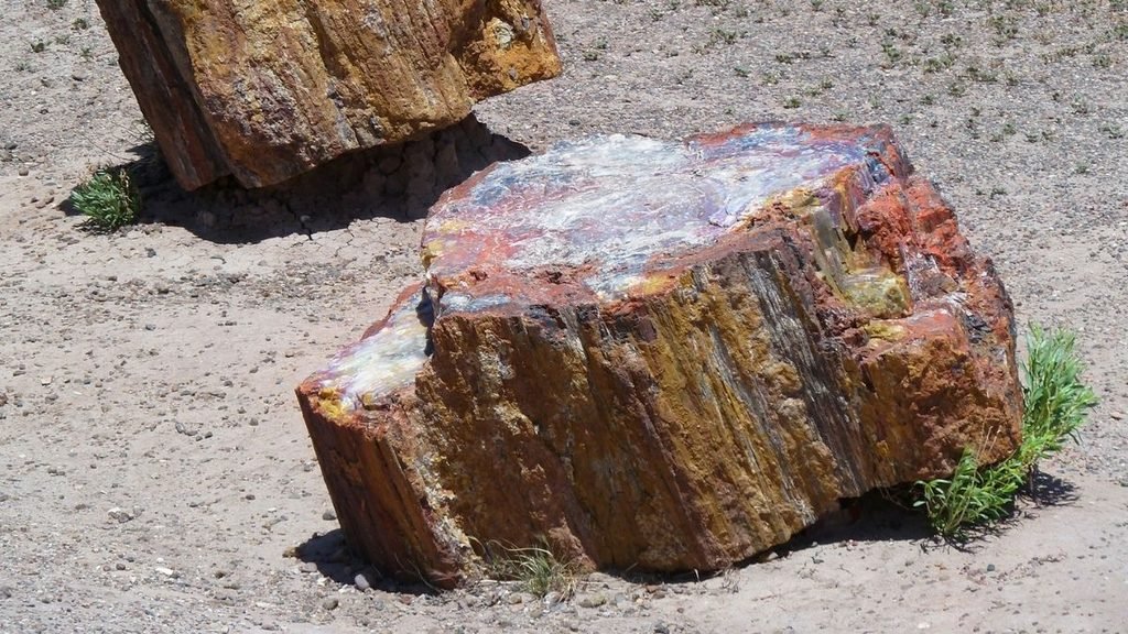 Rocks