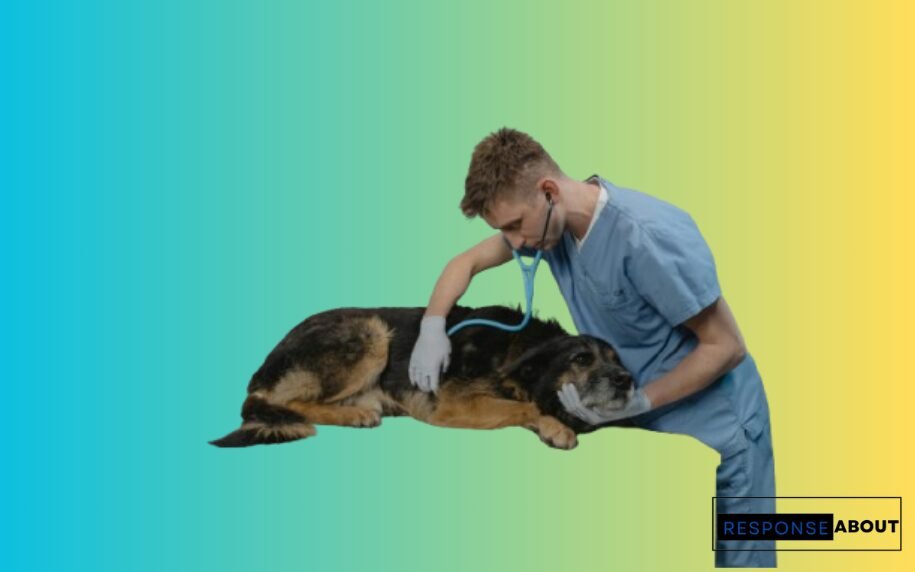 Heartwarming Veterinarian Thank You Note Example Messages